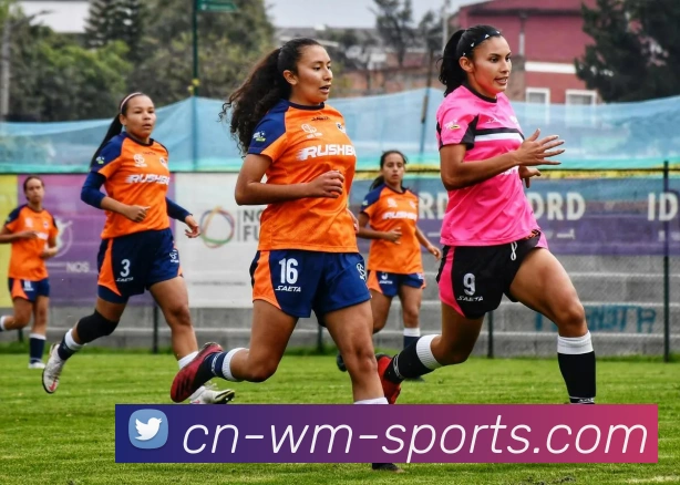 体育下注平台生态图