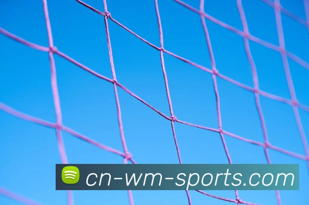 体育下注全站App