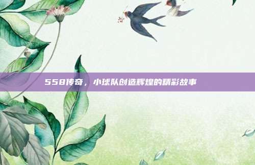 558传奇，小球队创造辉煌的精彩故事🌈